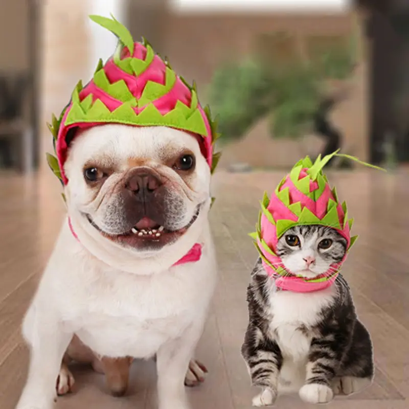 Милый костюм капитана Вечерние наряды забавный кот питая шляпа собака Хэллоуин повязка с фруктами на голову домашних животных