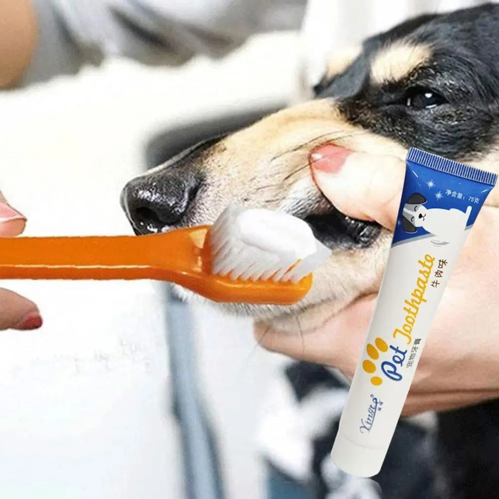 Pet Toothpaste For Dogs Helps Reduce Tartar And Plaque Buildup Perros