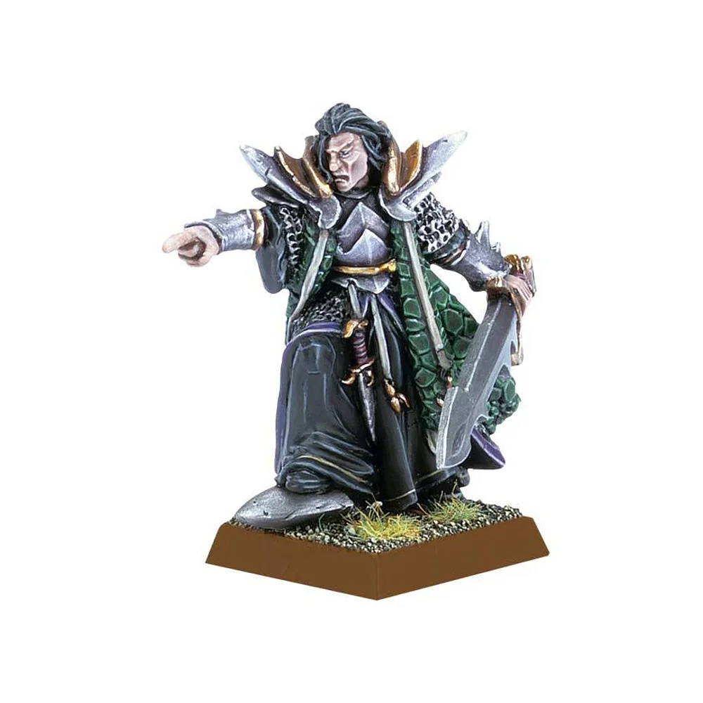 

Dark Elf Dreadlord with Hand Weapon