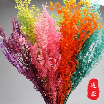 

Rich Leaf Eternal Life hua li he pei cai DIY Decorative Props Ins Shooting Wedding Birthday Gift Wholesale