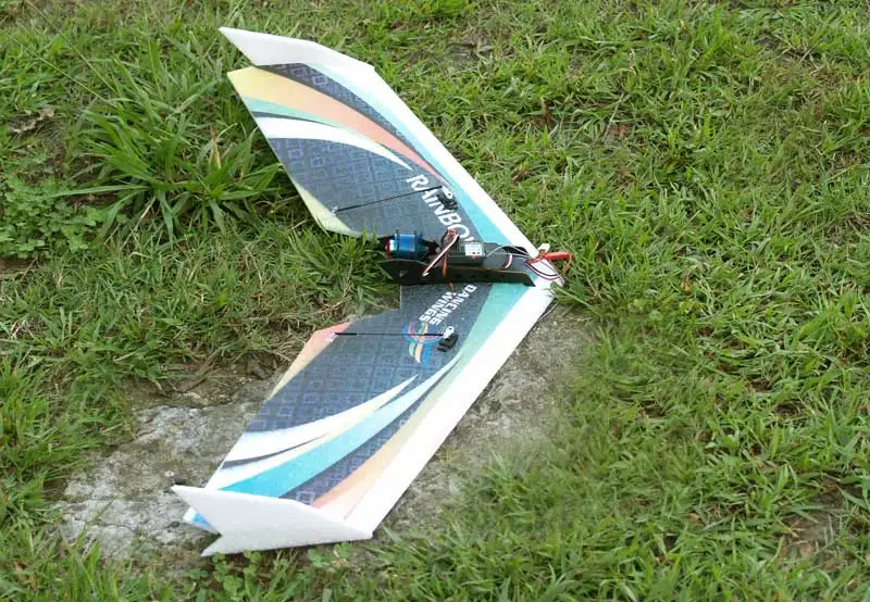 Rainbow Fly wing-1 (4)