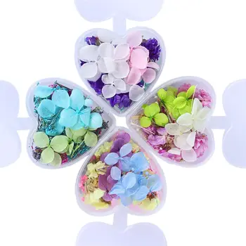 

1Box Epoxy Filler Real Dried Flower Mixed 3D Nail Stickers Decor Herbarium Craft