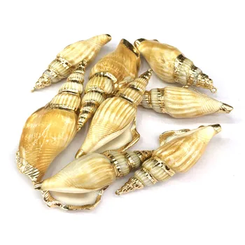 

Natural shell fashion conch Pendants Charms Necklace pendant for Jewelry Making DIY Bracelet Necklaces Accessories Size 27x70mm