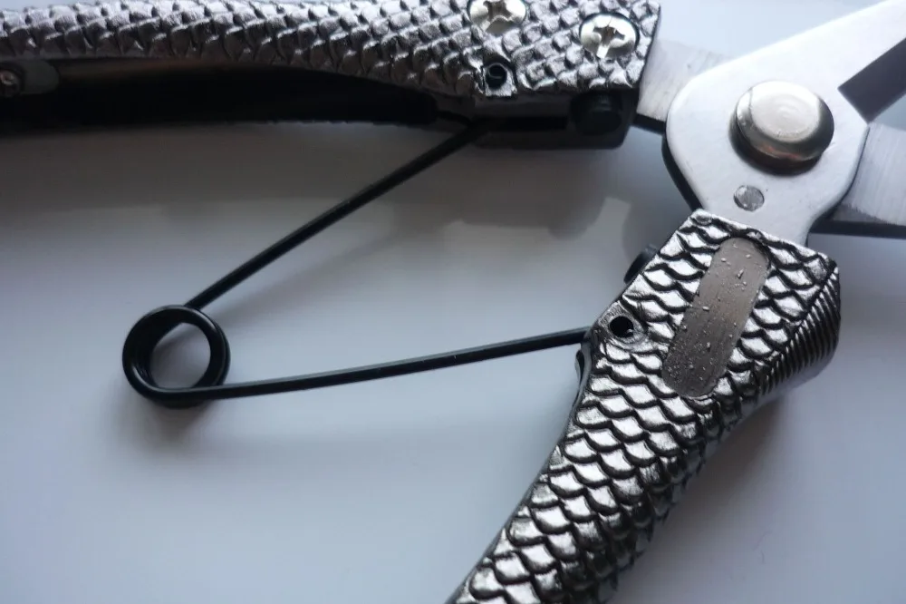 11225726718_1378621806