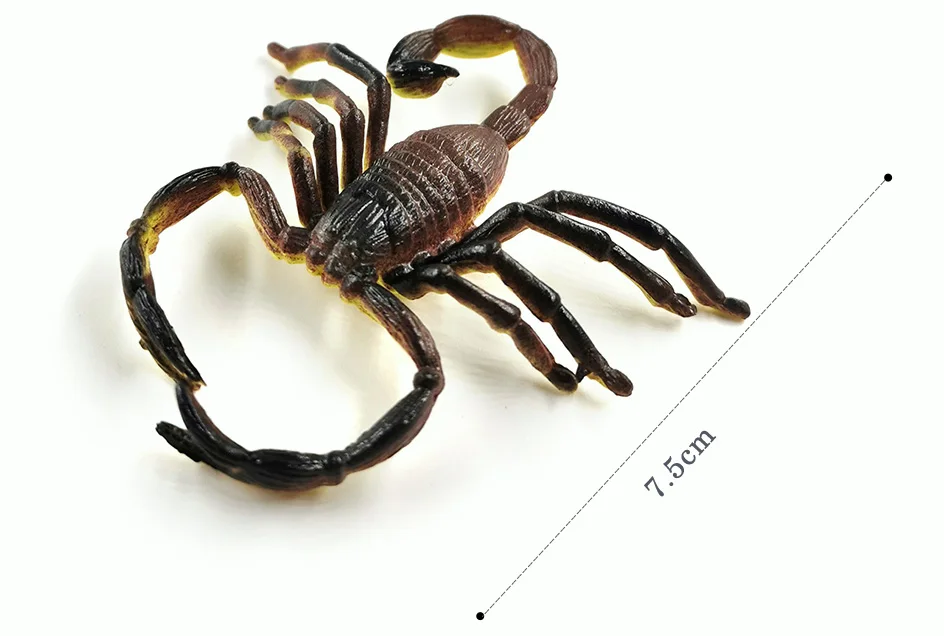 详情页-12款-SML-3个尺寸-彩色昆虫等_17