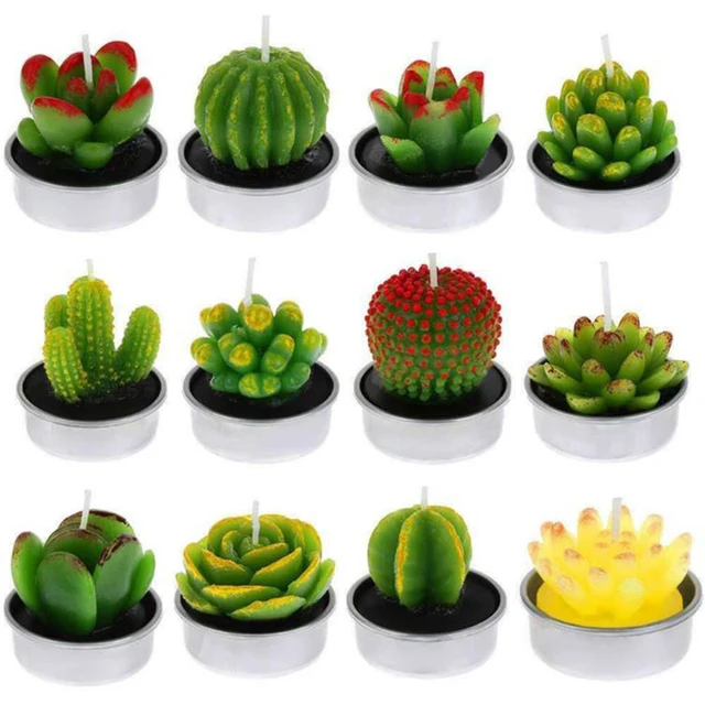 Cactus Candle 3D