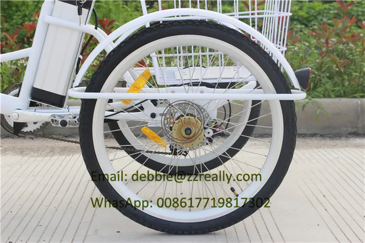 tricycle bike (12)
