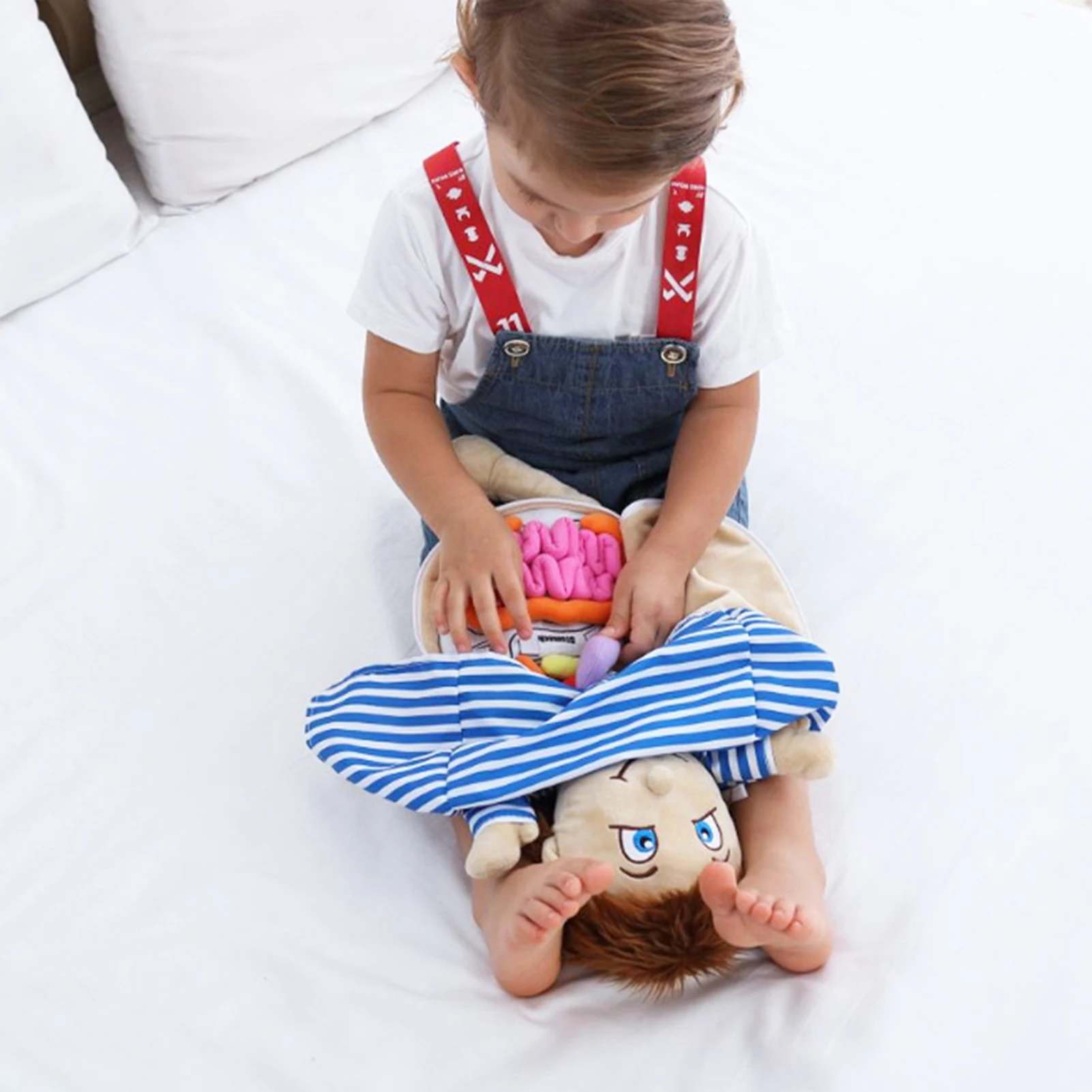 Human Body Model Anatomy Doll Soft Doll Toy Anatomical Medical Internal Organs Awareness Learn Early Education Toy For Preschool 3