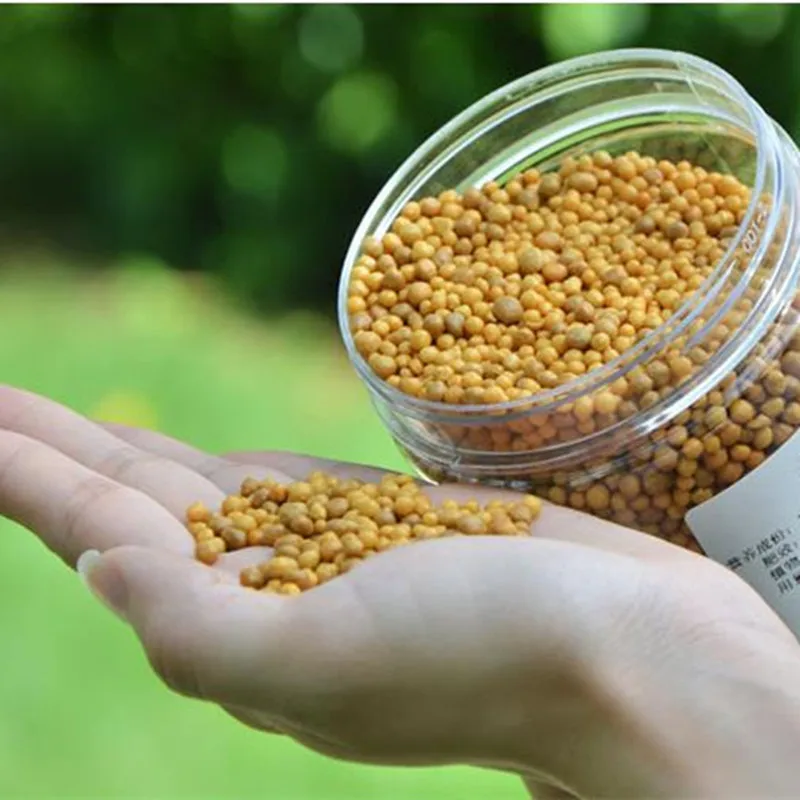 Osmocote Japanese Slow-Release Orchid Succulent Plant Granular NPK Fertilizer 500g plant compound fertilizer plant organic granules
