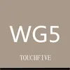 WG5