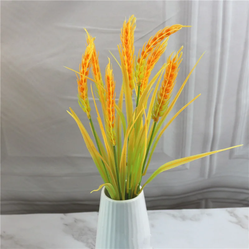 9509728806_2032011975