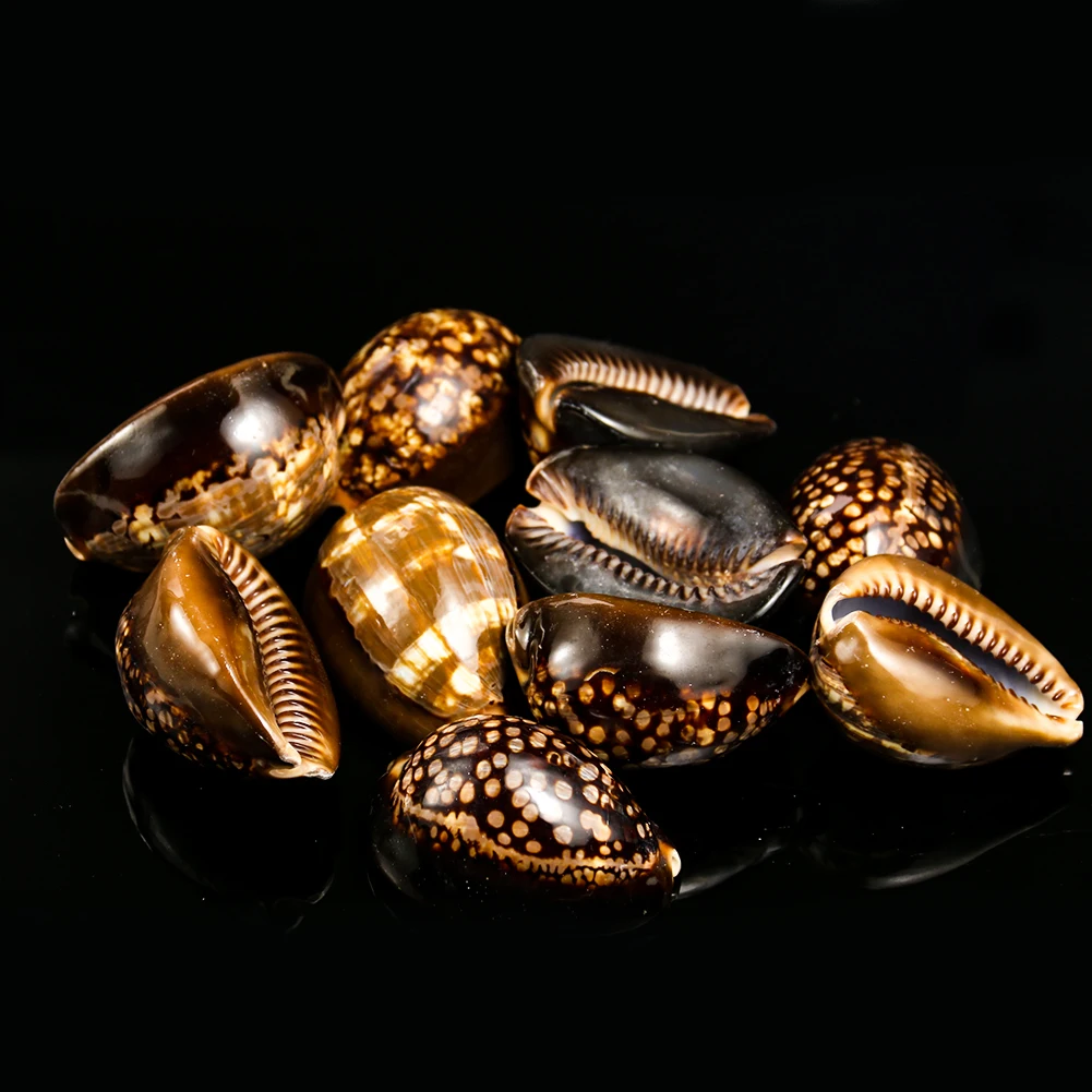 H45ffb43c381b4d1f80219ab2c0c106614.jpg?width=1001&height=1001&hash=2002