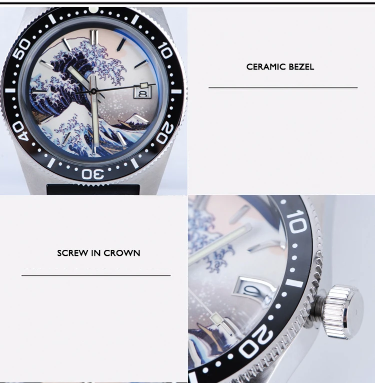 divewatch6