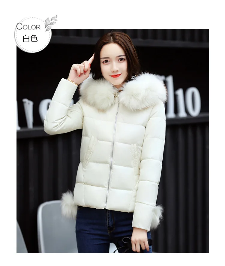 8979259322_1006637240