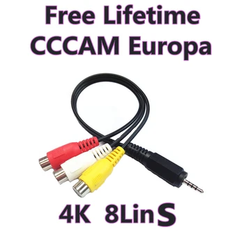 

CCCAM Europe HD 8/8Clines Espa A Estable Server Portugal Poland UK Nederlands Germany For DVB S2 Satellite Receive Server