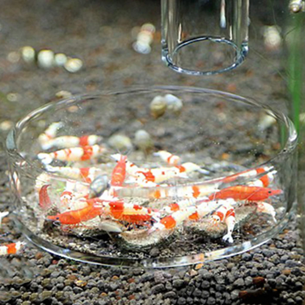 Glass Aquarium Feeding Dish + 300 MM Glass Tube Shrimp Feeder with Suction Cup Fish Tank Transparent Equipment
