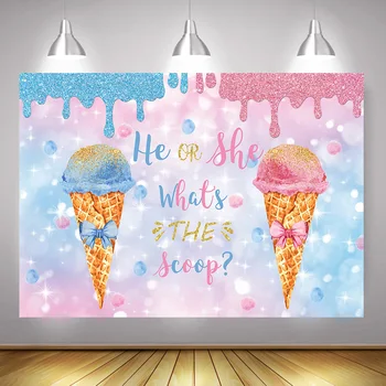 

Ice Cream Gender Reveal Backdrop He or She What's The Scoop Gender Surprise Party Decor Pink or Blue Photography Background