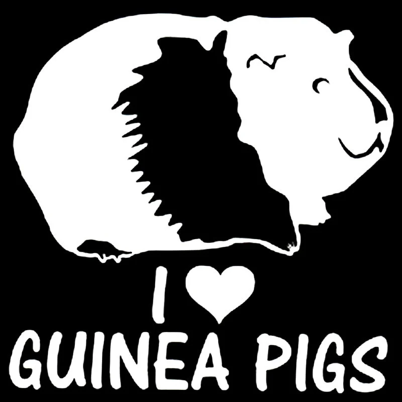 Забавные наклейки 15,3 см* 15,3 см "I Love Ginea Pigs" наклейка Cavy грызуны для домашнего питомца оконная Стайлинг Аксессуары мотоцикл окна стикер s