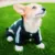 Adidog Pet Dog Clothes Spring Dog Hoodies Coat Letter Cute Small Dogs Chihuahua Pug Yorkshire Puppy Pet Hoodie Cat Clothing XXL