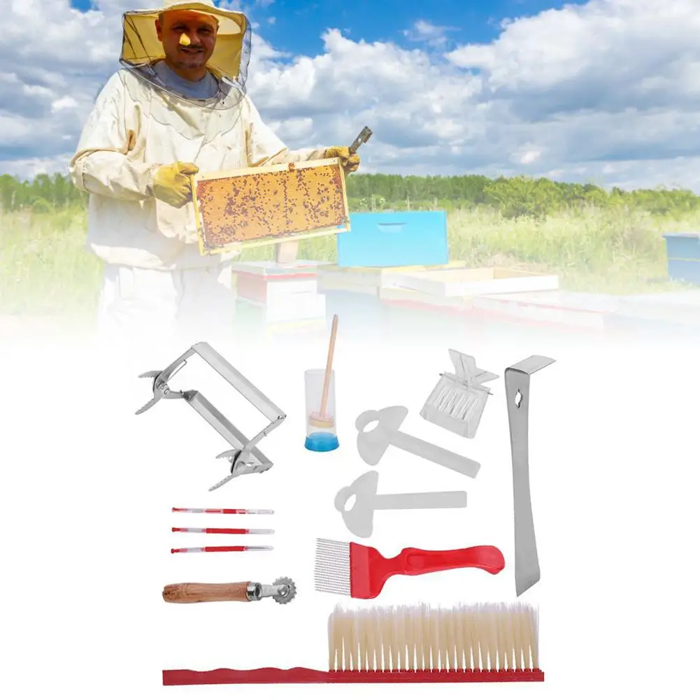 

12 Pcs Beekeeping Tools Kit Set Scraper Bee Sweep Needle Type Knife Nest Frame Clip King Cage Thread Burr Needle For Beekeeper