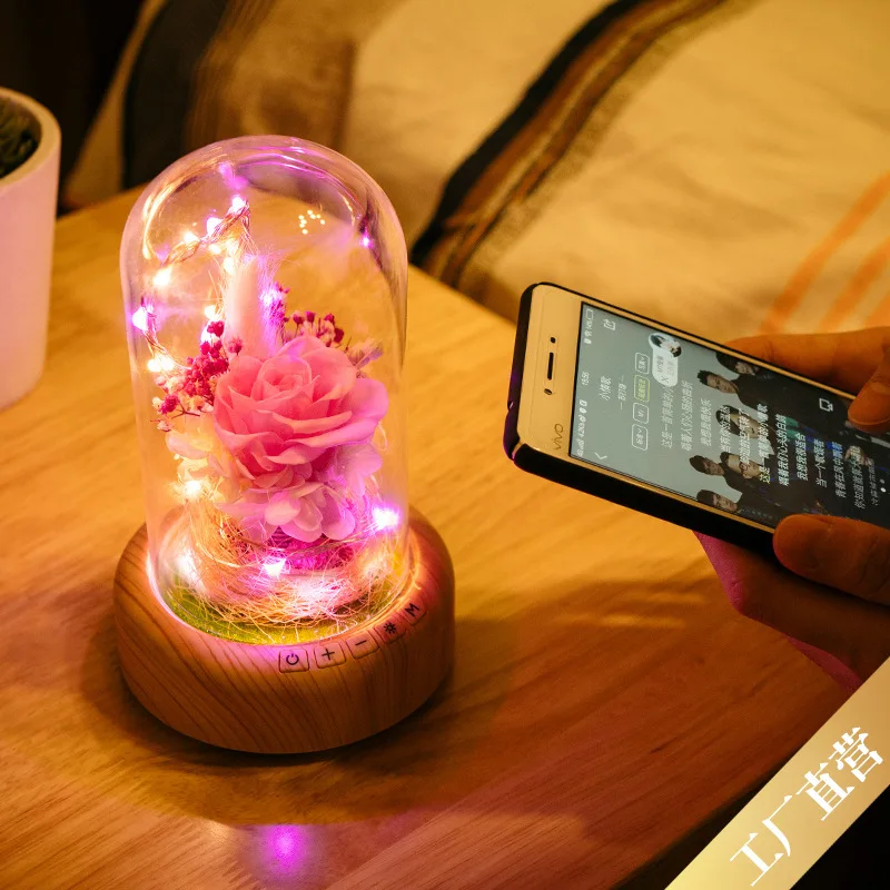 

Xuyuan Streamer Bottle Bluetooth Audio Small Night Lamp Beautiful Preserved Fresh Flower LED Gift Lamp Strange New Christmas Gif