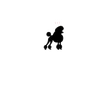 24Poodle