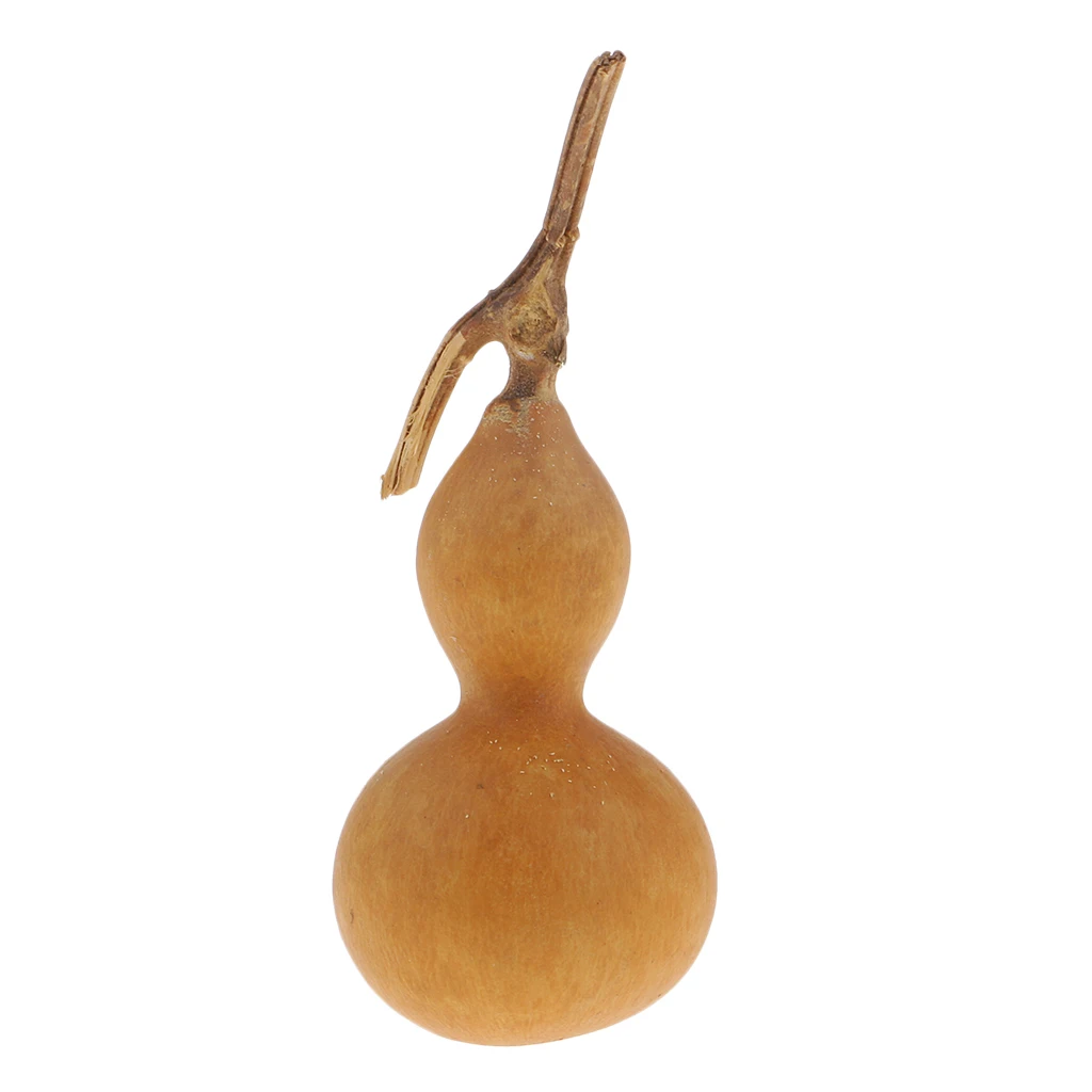 

Small Natural Gourds Dried Rustic Decoration Crafts For Fall Bowl Filler DIY