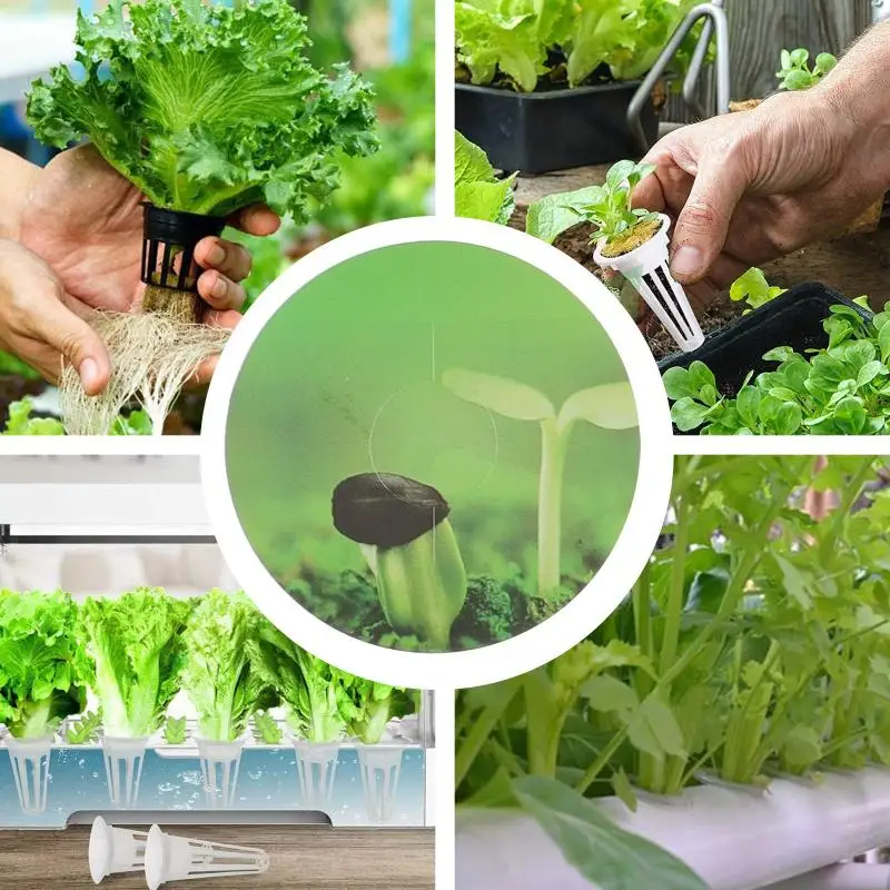 2 Boxes 50 Stickers / Box Practical Pod Labels Grow Baskets Labels Hydroponic Garden Accessories Growth Basket Anti Moss Sticker