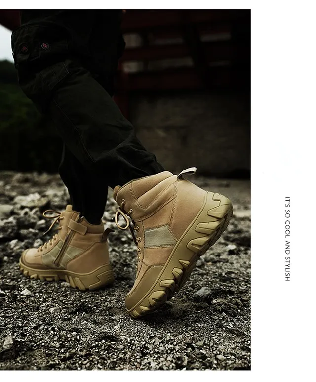 未标题-1_12_副本