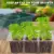 AMKOY 6/12 Cells Seed Starter Kit Plant Seeds Grow Box cSeedling Лотки Прорастание Коробка с куполом и основанием