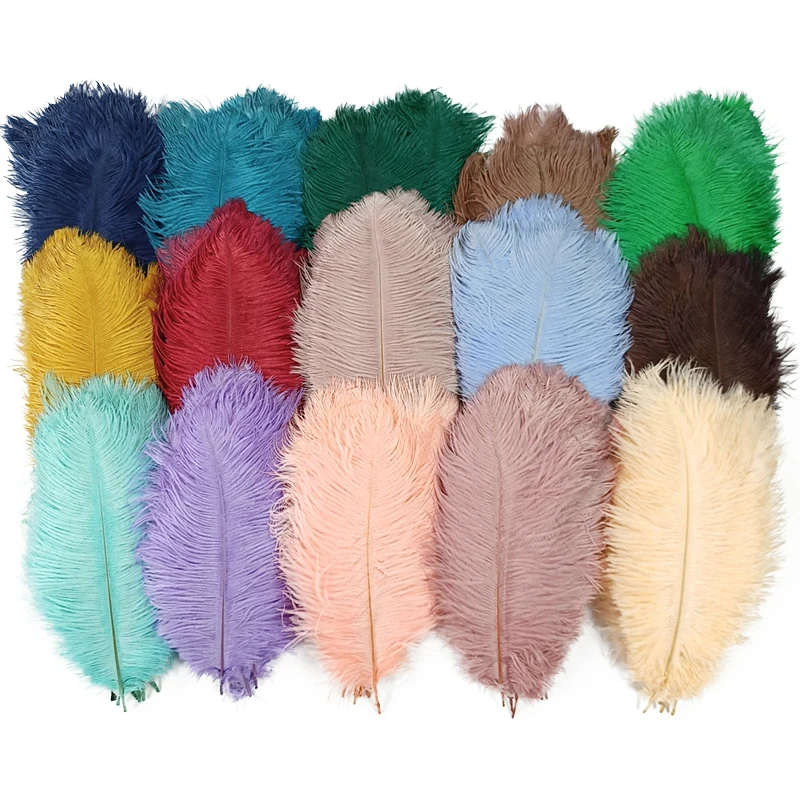 10Pcs/Lot Colored Ostrich Feathers for Crafts 35-40CM 14-16 Feathers  Ostrich Plumes Home Wedding Decoration Carnaval Assesoires - AliExpress