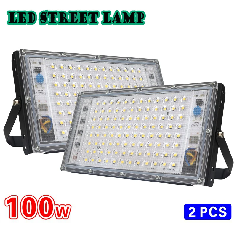 

AC 220V 240V LED Floodlight Aluminum Spotlight Bead Point IP65 Waterproof 100W Outdoor Lighting Washer Lamp Garden Flood Light