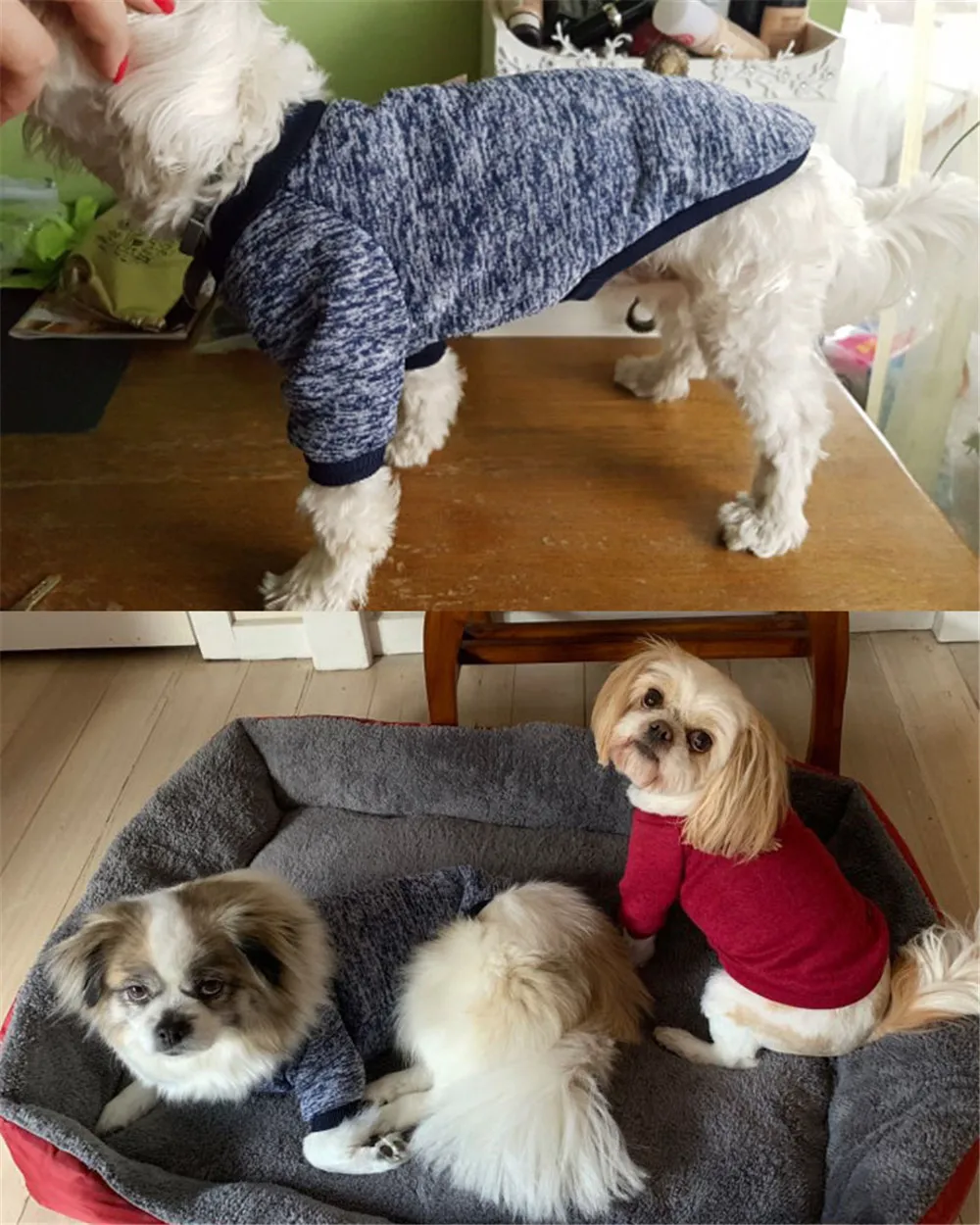 Haaace0a320804697a44736dfba487babx