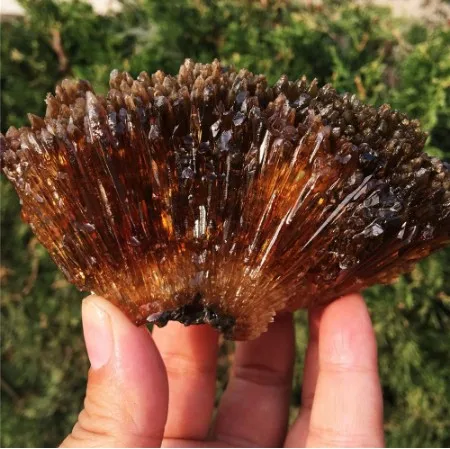 HOT!!!!Natural yellow amber calcite raw stone crystal gem collection of rough rock mineral specimens healing home decor | Дом и сад