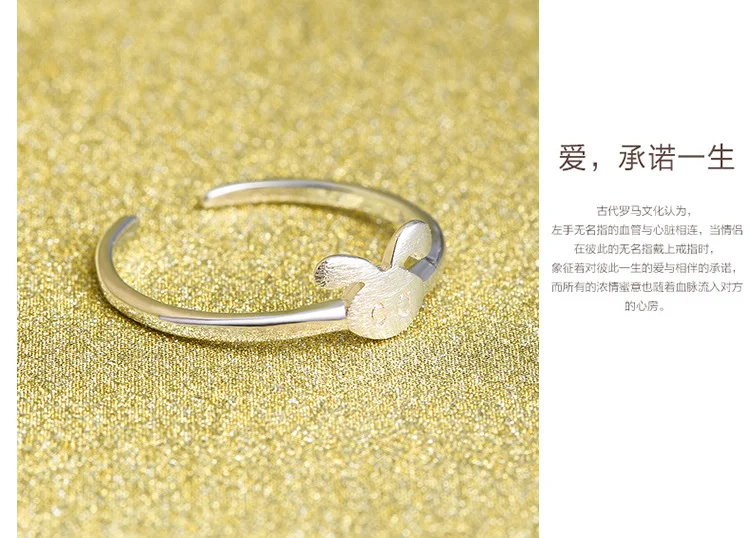 2831919036_1368986725