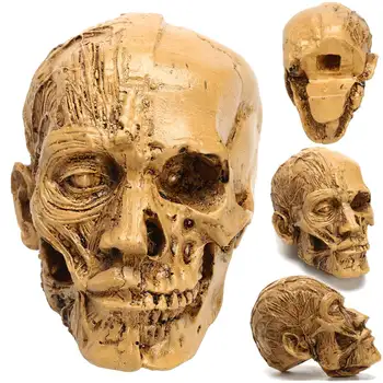 

Sketch Resin Craft Skull Head Model Carving Halloween Party Decoration Skull Sculpture Ornaments Home Decoration Accessories