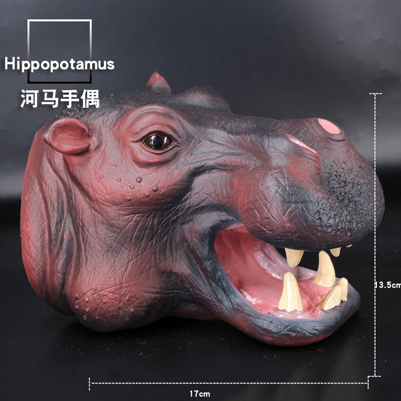 Hippopotamus-2