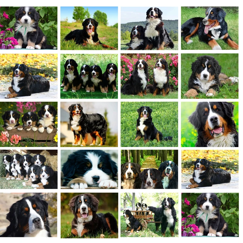

New Diy Diamond Painting Bernese Mountain Dog Cute Pet Cross Stitch Patterns Animal Embroidery Puppy Kits Mosaic Decor Gift Art