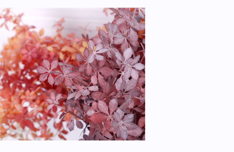 详情_12571936200_1554594402