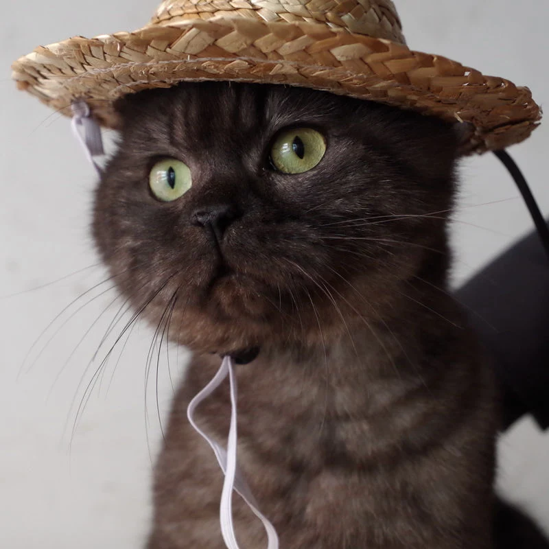 

Pet Farmer Hat Universal Natural Straw Hat Straw Cat or Dog Sun Hat Pet Decorative Straw Hat