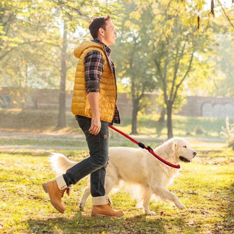 MySudui Pet Dog Leash Collar For Dogs Dogness Reflective Adjustable Dog Leash Rope Dog Lead Collar Rope Coleira Collare Cane (2)