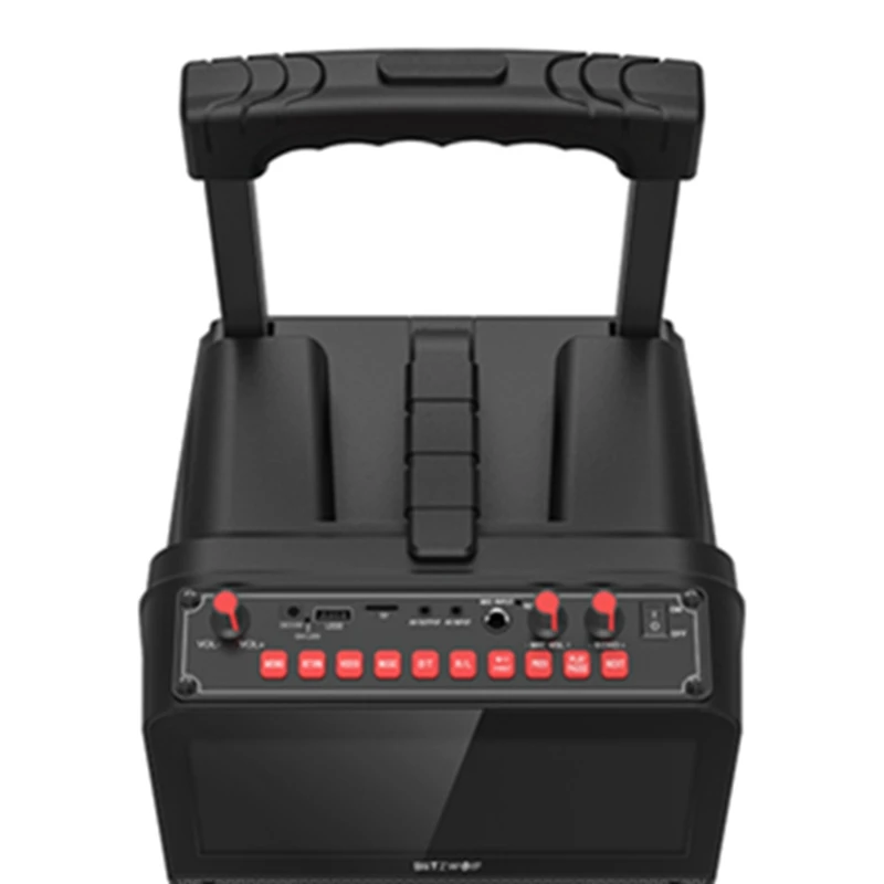 BlitzWolf BW-DM1 30W TFT Screen Wireless Party