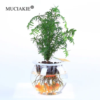 

MUCIAKIE 1PC New Transparent Globe Vase Goldfish Bowl Hydroponic Green Plant Plastic Container Desktop Simple Fashion Flower Pot