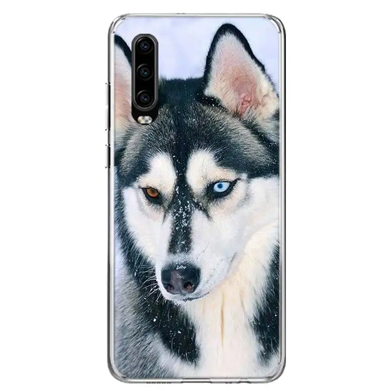 TW052-7 Волчий свирепый чехол для телефона huawei P30 P20 mate 30 20 10 Pro P10 Lite P Smart Z+ Coque Shell Capa - Цвет: TW052-7