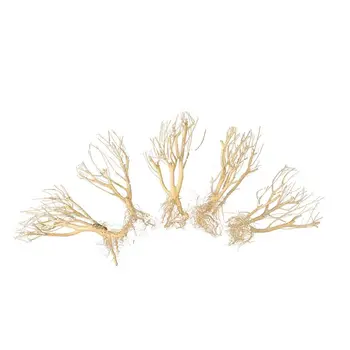 

Aquarium driftwood moss tree