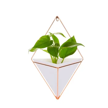 

3pcs Creative Acrylic Plant Hanger Basket Delicate Home Decor Hanging Basket Succulent Flowerpot for Home Bedroom Living Room (R