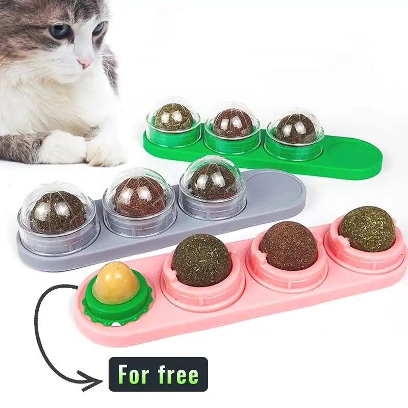 catnip ball