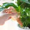 Garden Supplies