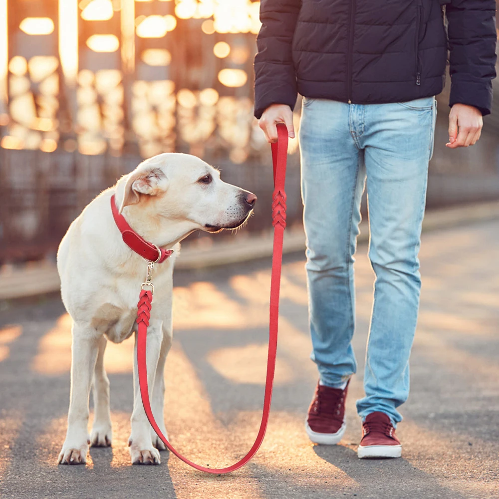 H46420475bd0044ae84c4c4871e2fdd96s