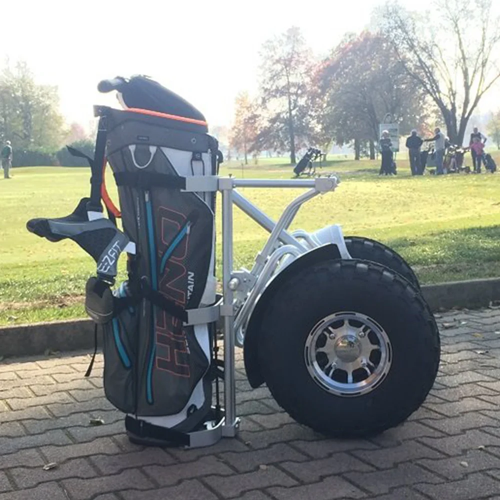 Eu Stock Electric Scooters Two-wheel Off-road Smart Balance 19 Inch Self Balance ES6 Golf Bag Holder Made Of Alu Eswing Scooters
